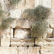 За что была наказана община в древнем Иерусалиме?