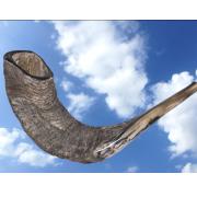 A Long and Loud Blast of Shofar